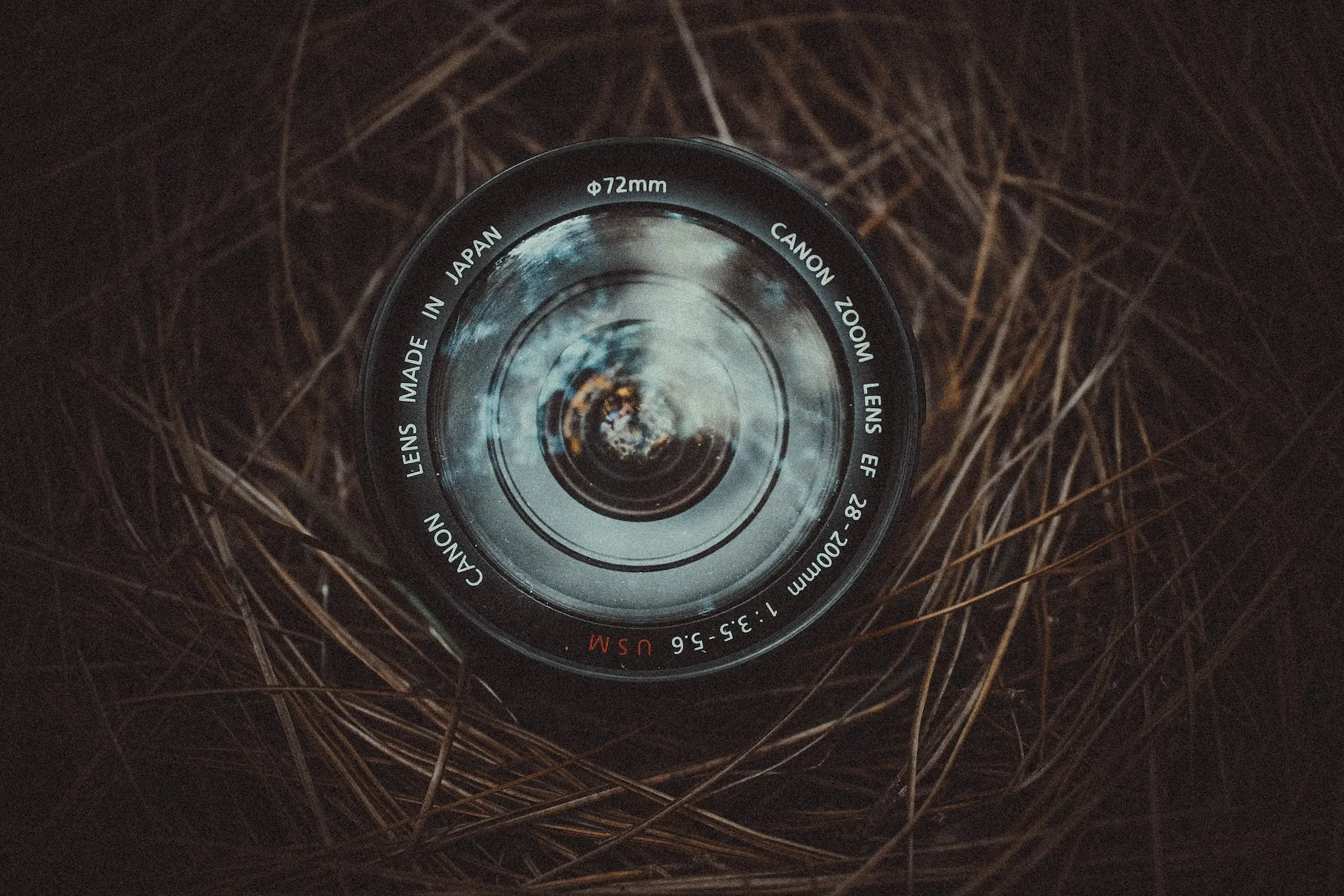 camera lens in a nest outsite artistic composition